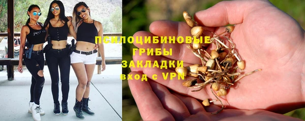 спайс Кинешма